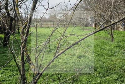 Teren intravilan 2619 mp cu 2 case - Ciocanesti Jud. Dambovita - 1