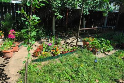 Apartament cu 2 camere decomandat în Tineretului - 1