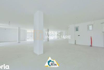 Spațiu comercial, de 200 mp, în Micălaca - 8