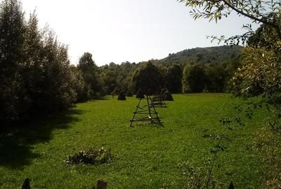 Teren de 2142 mp, în Valea Doftanei - 4