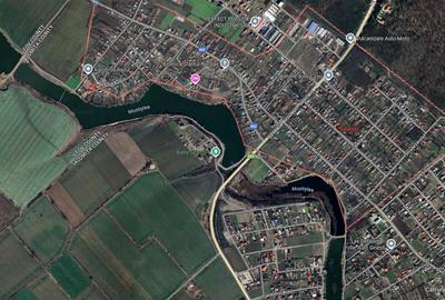 Teren agricol extravilan de 100000 mp, în Sinești - 1
