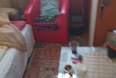Casă cu 2 camere cu Teren 17 Mp în Slătinioara - 1