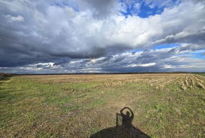 Satu Mare, Oportunitate pentru dezvoltatori, Teren generos parcelat - 8