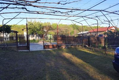 Teren si casa batraneasca in Dumbravesti, Prahova Teren si casa batraneasca in Dumbravesti, Prahova - 8