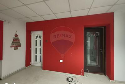 Casă cu 3 camere cu Teren 2175 Mp în Vinga - 9