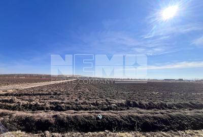 Teren agricol extravilan de 10000 mp, în Stroiești - 1