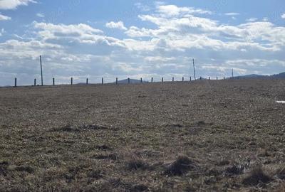 Teren de 3600 mp, în Central - 2