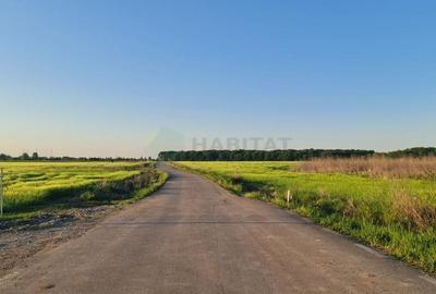 Teren | Poiana Ciolpani | Iris Orangerie - 5