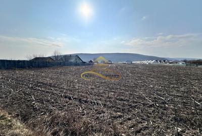 Teren Construcții intravilan de 3600 mp, în Hemeiuș - 8