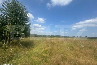 Spațiu comercial, în Horodnic - 1