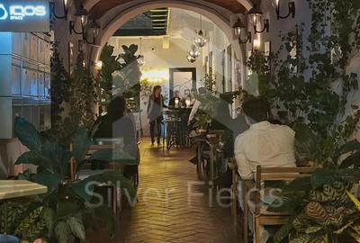 Se vinde Bar-Restaurant la cheie | Piata Unirii - 17