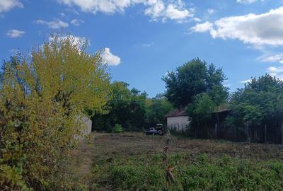 Teren intravilan Teslui - 4