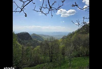Teren de 3000 mp, în Certeju de Sus - 7