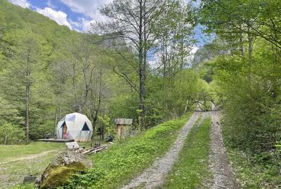 Oportunitate unica ! Proprietate in parc na?ional pe malul Cernei ! - 5