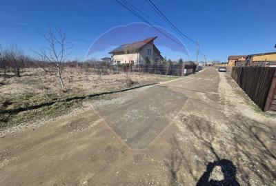 Teren de Vanzare in Gulia - Tartasesti | 2.760 mp | OPORTUNITATE! - 4