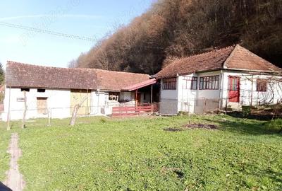 Casă în Brâznic - 2