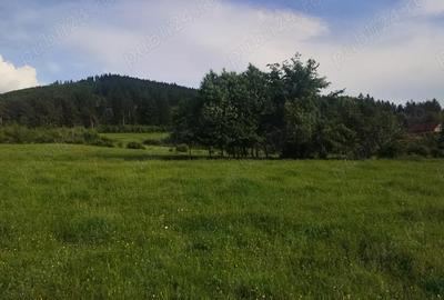 Teren de 4655 mp, în Central