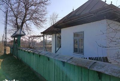 Casă cu 4 camere cu Teren 9000 Mp în Berești - 2