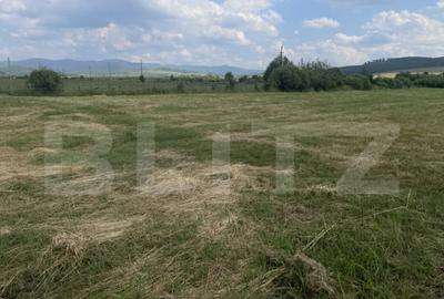 Teren extravilan 1200 mp Dorolea, aproape de Manastire - 5