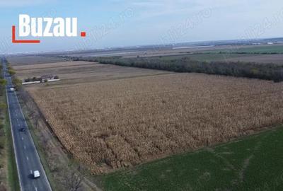 Comision 0! Teren 6400mp, foarte aproape de de autostrada Comision 0! Teren 6400mp, foarte aproape de de autostrada - 3
