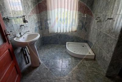 Casă individuală cu 5 camere cu Teren 8286 Mp în Preluca Nouă - 12