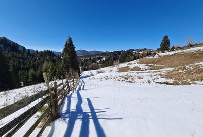 Teren situat langa padure de Vanzare - 5