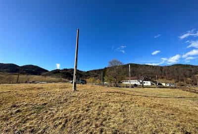 TEREN INTRAVILAN SIRNEA/ 4000 MP/ - 2