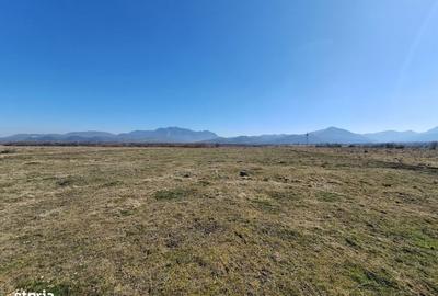 Spațiu comercial, în Central - 3