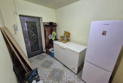 Lacul Tei vanzare ap 2 camere Cristea Mateescu - 4