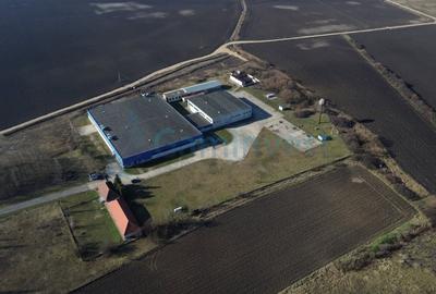 Spațiu industrial, de 6,227 mp, în Homorog - 4