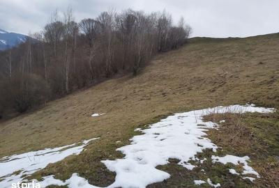 Teren de 19000 mp, în Moieciu - 8