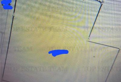 Teren extravilan - Braila - E584 - - 2