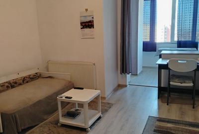 Garsonieră în Valea Borcutului - 6