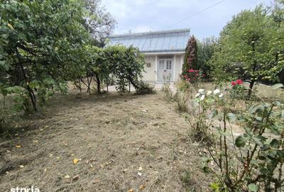 Casă cu 2 camere cu Teren 1300 Mp în Dobrovăț - 9