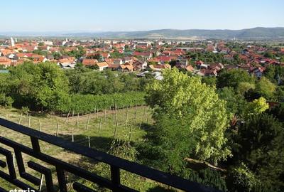 Casă cu 4 camere în Aleșd - 19