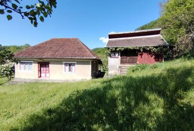 Casă cu 2 camere în Ormindea - 4
