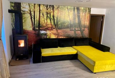 Apartament Voineasa Transalpina - 3