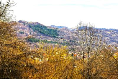 Teren agricol intravilan de 2623 mp, în Est