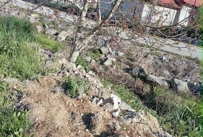 Casă cu 1 camere în Bogata - 3
