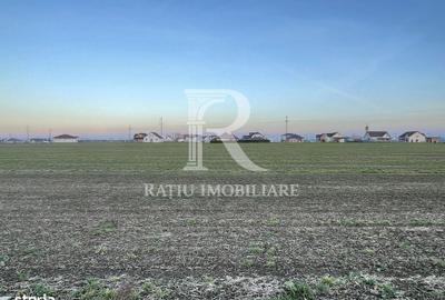 Teren de 500 mp, în Nojorid - 3