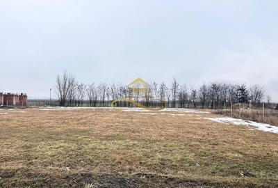 Teren Construcții intravilan de 900 mp, în Săucești - 2