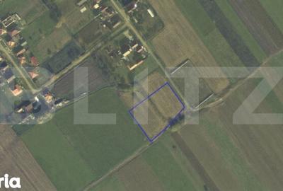 Teren de 4400 mp, în Central
