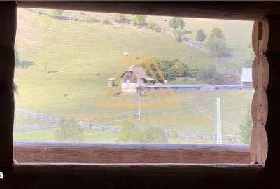 Casă cu 4 camere cu Teren 29000 Mp în Central - 3