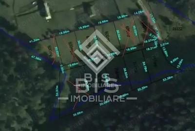 Teren de 6000 mp, în Sud - 3