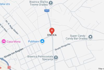 Teren Construcții intravilan de 1000 mp, în Oncea - 1