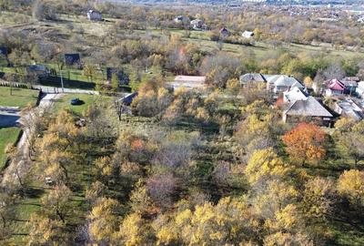 Teren si casa de vanzare la baza muntelui Iezer in Valea Mare Pravat - 5