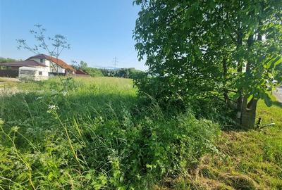 Teren intravilan cu utilitati Stupini Brasov - 4