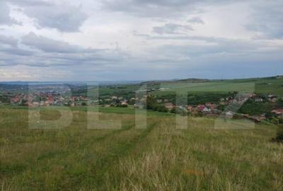 Teren extravilan 1249 mp in Copaceni! Oportunitate investiti - 3