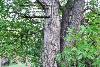 Teren intravilan 1480 mp, Alexandru cel Bun - 3