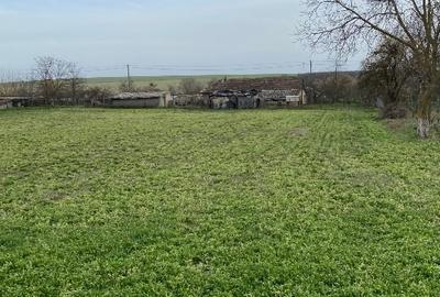 Teren Construcții intravilan de 6005 mp, în Șiriu - 9